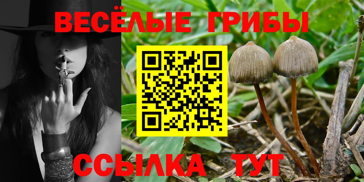 Псилоцибиновые грибы мухоморы  Галлюциногенные грибы GOLDEN TEACHER  Партизанск  Вход с VPN 